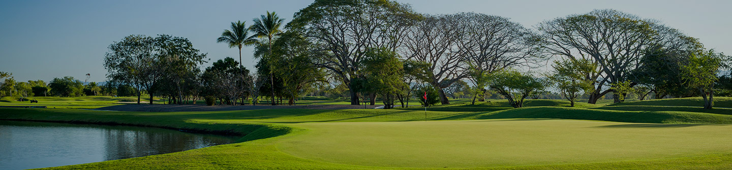 Courses at Nuevo Nayarit-Vallarta